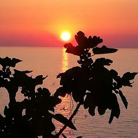 Le Terrazze Holiday home Pizzo (Calabria)